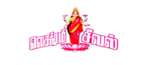 Lakshmi Seeval Logo