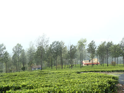 lakshmi group